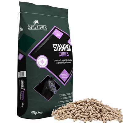Pasza Spillers Stamina Cubes 20kg - Cavalo